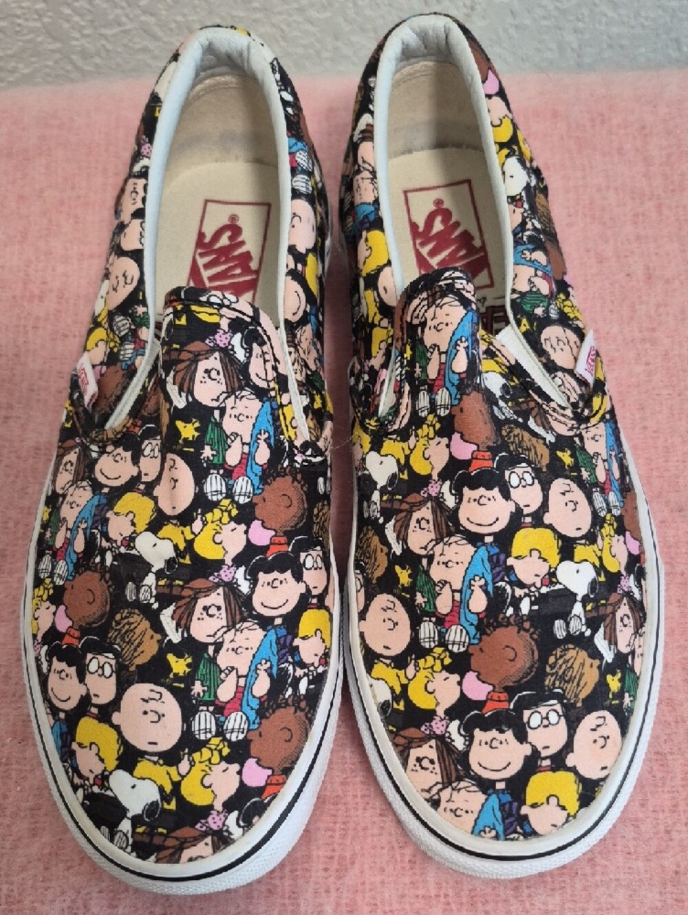VANS X "The Gang" Peanuts Slip on Sneakers / Limited Edition / Unisex